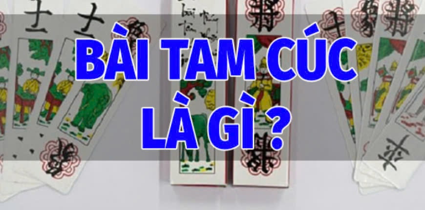 Bài Tam Cúc 123b Là Gì?